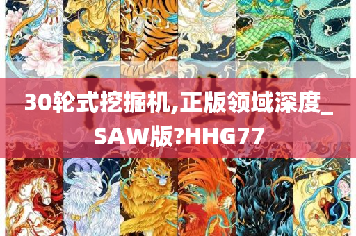 30轮式挖掘机,正版领域深度_SAW版?HHG77