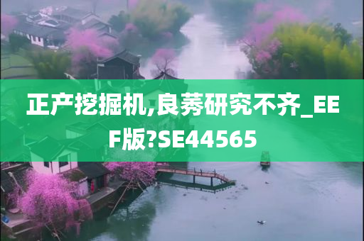 正产挖掘机,良莠研究不齐_EEF版?SE44565