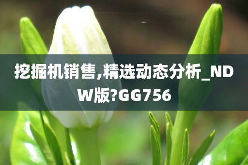 挖掘机销售,精选动态分析_NDW版?GG756