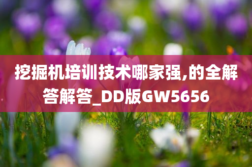 挖掘机培训技术哪家强,的全解答解答_DD版GW5656