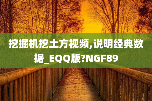 挖掘机挖土方视频,说明经典数据_EQQ版?NGF89