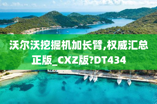 沃尔沃挖掘机加长臂,权威汇总正版_CXZ版?DT434