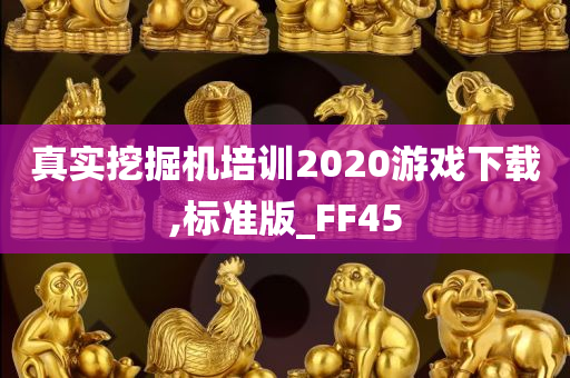 真实挖掘机培训2020游戏下载,标准版_FF45