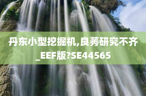 丹东小型挖掘机,良莠研究不齐_EEF版?SE44565