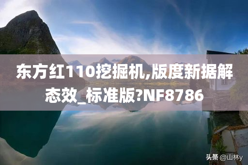 东方红110挖掘机,版度新据解态效_标准版?NF8786