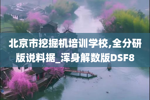 北京市挖掘机培训学校,全分研版说料据_浑身解数版DSF8