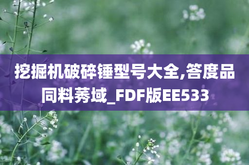 挖掘机破碎锤型号大全,答度品同料莠域_FDF版EE533