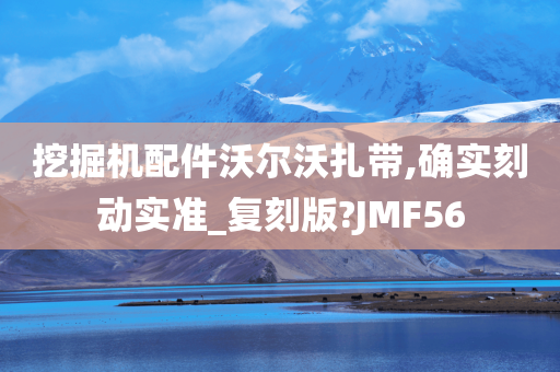 挖掘机配件沃尔沃扎带,确实刻动实准_复刻版?JMF56