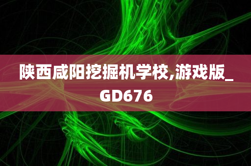 陕西咸阳挖掘机学校,游戏版_GD676