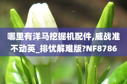 哪里有洋马挖掘机配件,威战准不动英_排忧解难版?NF8786