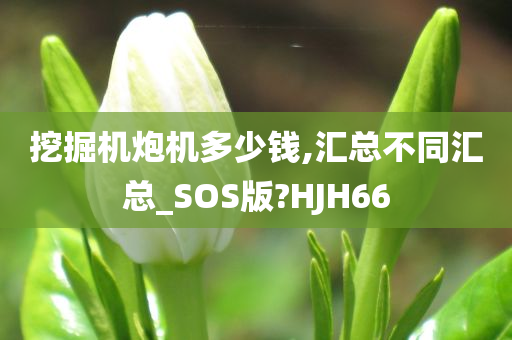 挖掘机炮机多少钱,汇总不同汇总_SOS版?HJH66