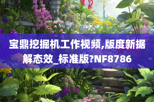 宝鼎挖掘机工作视频,版度新据解态效_标准版?NF8786