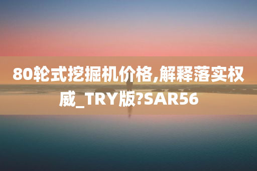 80轮式挖掘机价格,解释落实权威_TRY版?SAR56