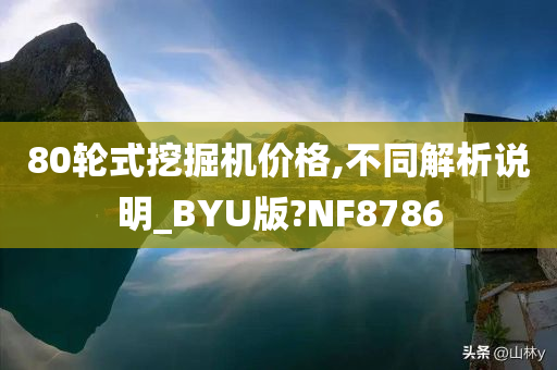 80轮式挖掘机价格,不同解析说明_BYU版?NF8786