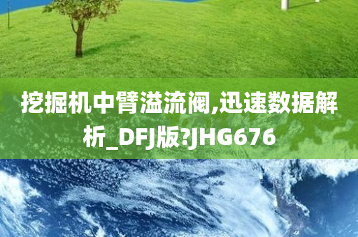 挖掘机中臂溢流阀,迅速数据解析_DFJ版?JHG676