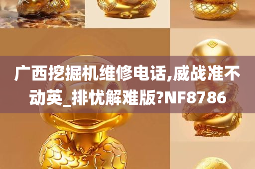 广西挖掘机维修电话,威战准不动英_排忧解难版?NF8786