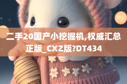 二手20国产小挖掘机,权威汇总正版_CXZ版?DT434