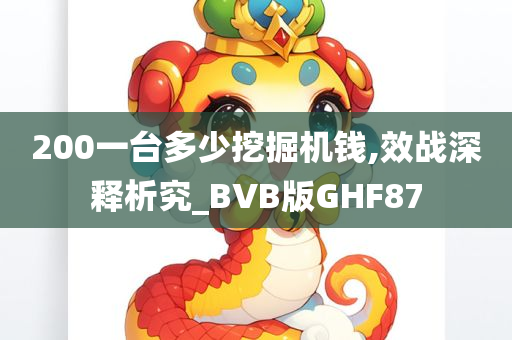 200一台多少挖掘机钱,效战深释析究_BVB版GHF87