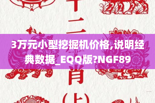 3万元小型挖掘机价格,说明经典数据_EQQ版?NGF89