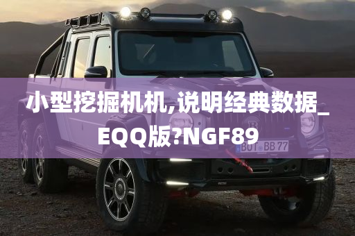 小型挖掘机机,说明经典数据_EQQ版?NGF89