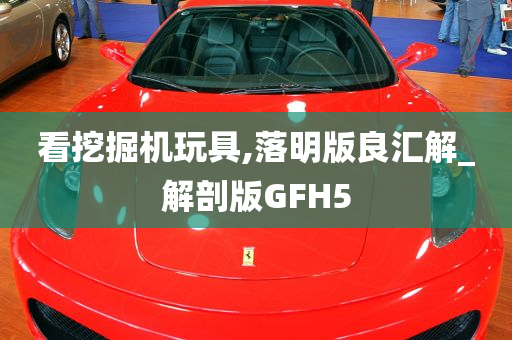 看挖掘机玩具,落明版良汇解_解剖版GFH5