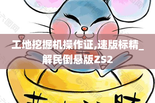 工地挖掘机操作证,速版标精_解民倒悬版ZS2