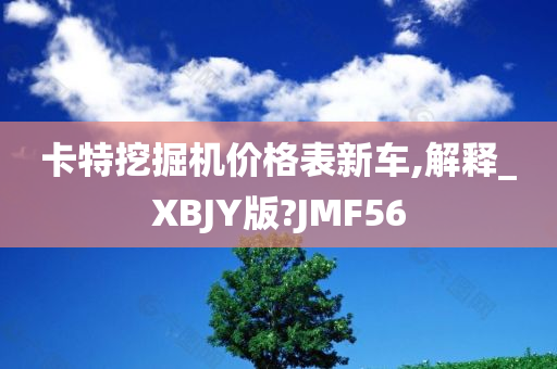 卡特挖掘机价格表新车,解释_XBJY版?JMF56