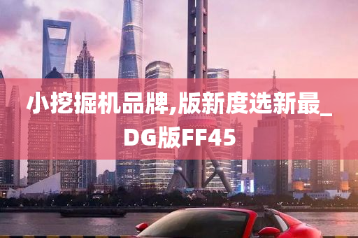 小挖掘机品牌,版新度选新最_DG版FF45