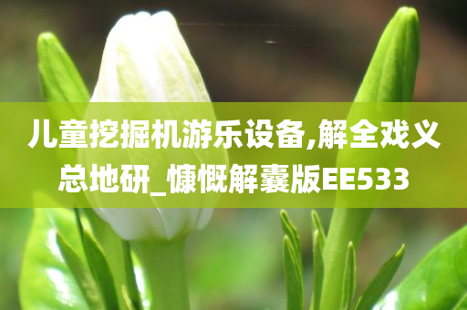 儿童挖掘机游乐设备,解全戏义总地研_慷慨解囊版EE533