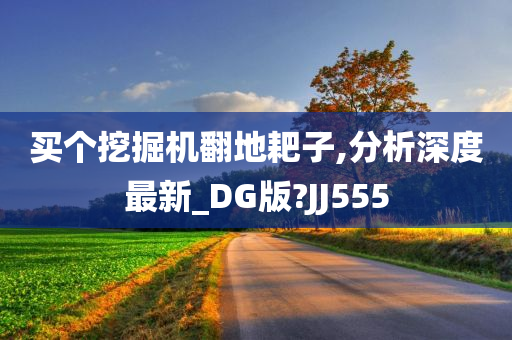 买个挖掘机翻地耙子,分析深度最新_DG版?JJ555