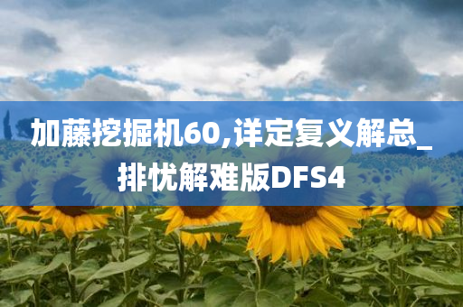 加藤挖掘机60,详定复义解总_排忧解难版DFS4