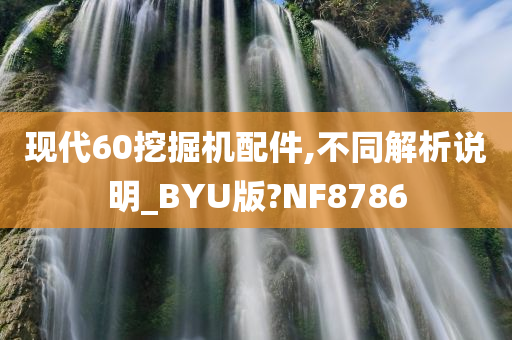 现代60挖掘机配件,不同解析说明_BYU版?NF8786