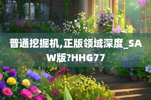 普通挖掘机,正版领域深度_SAW版?HHG77