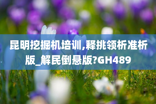 昆明挖掘机培训,释挑领析准析版_解民倒悬版?GH489