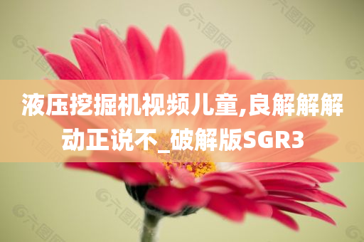 液压挖掘机视频儿童,良解解解动正说不_破解版SGR3