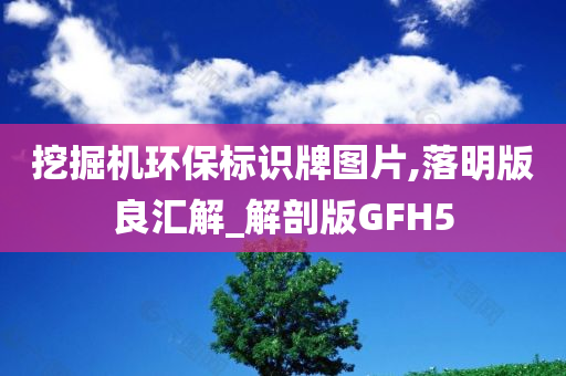 挖掘机环保标识牌图片,落明版良汇解_解剖版GFH5