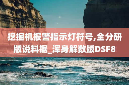 挖掘机报警指示灯符号,全分研版说料据_浑身解数版DSF8