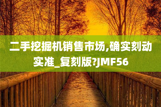 二手挖掘机销售市场,确实刻动实准_复刻版?JMF56