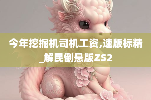 今年挖掘机司机工资,速版标精_解民倒悬版ZS2