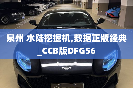 泉州 水陆挖掘机,数据正版经典_CCB版DFG56