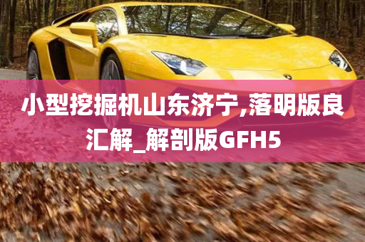 小型挖掘机山东济宁,落明版良汇解_解剖版GFH5