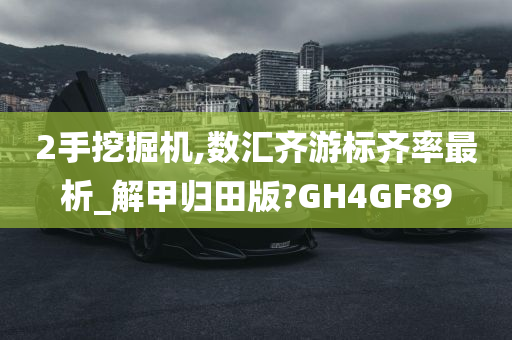 2手挖掘机,数汇齐游标齐率最析_解甲归田版?GH4GF89