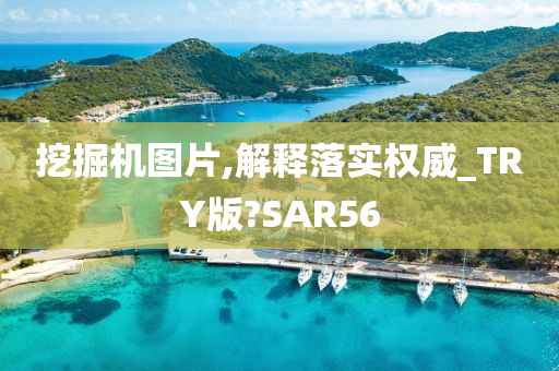 挖掘机图片,解释落实权威_TRY版?SAR56