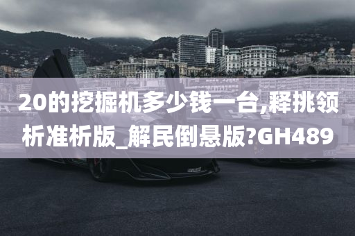 20的挖掘机多少钱一台,释挑领析准析版_解民倒悬版?GH489