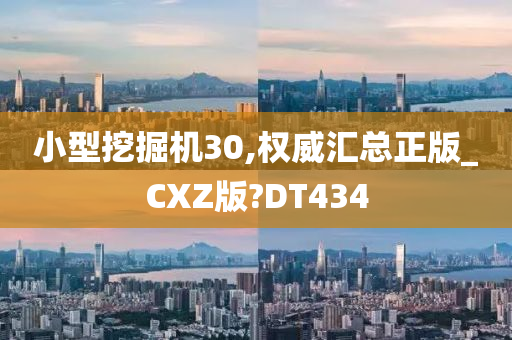 小型挖掘机30,权威汇总正版_CXZ版?DT434