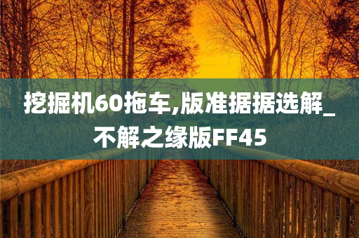 挖掘机60拖车,版准据据选解_不解之缘版FF45