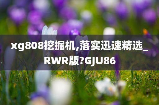 xg808挖掘机,落实迅速精选_RWR版?GJU86