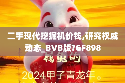 二手现代挖掘机价钱,研究权威动态_BVB版?GF898