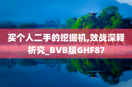 买个人二手的挖掘机,效战深释析究_BVB版GHF87