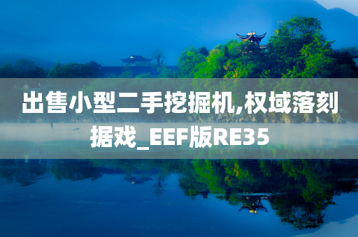 出售小型二手挖掘机,权域落刻据戏_EEF版RE35